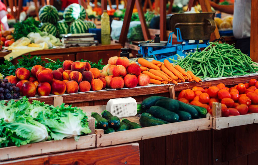 Stand de Fruits et Légumes